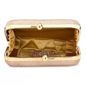 Trendy Women’s Golden Clutch ( default, OS )